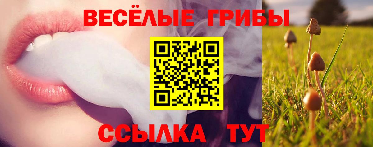 Псилоцибиновые грибы ЛСД  Вход с VPN  Тольятти 